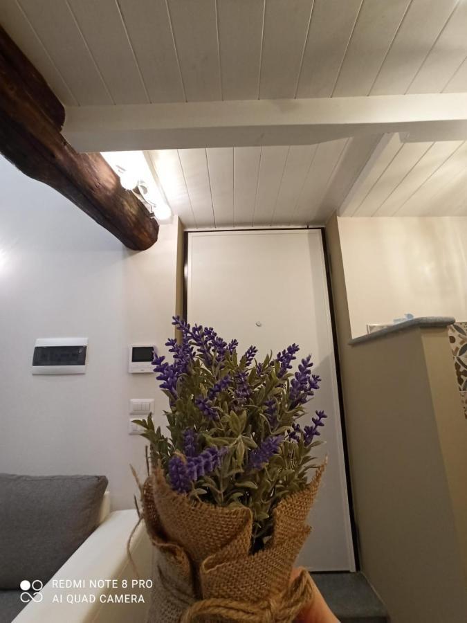 Antico-Vicolo Appartamento Viviana Vercelli Esterno foto